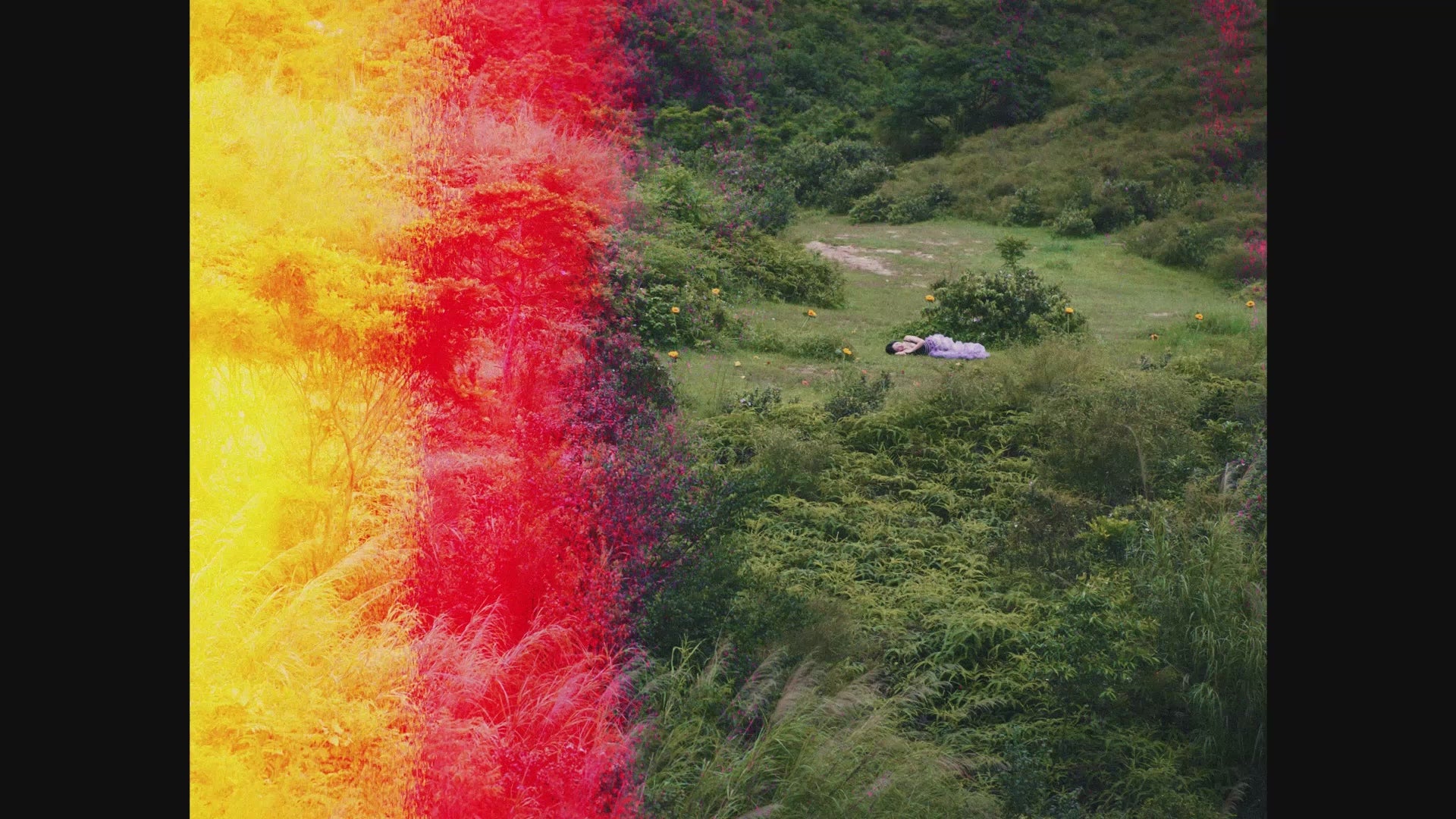 Credit Music Video Joya 